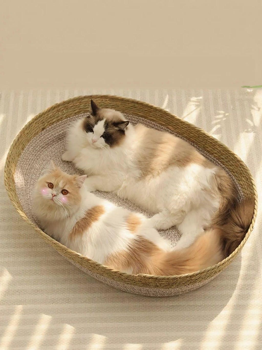 Woven Rattan Cat Nest Bed Scratch-Resistant Oval Pet Lounger