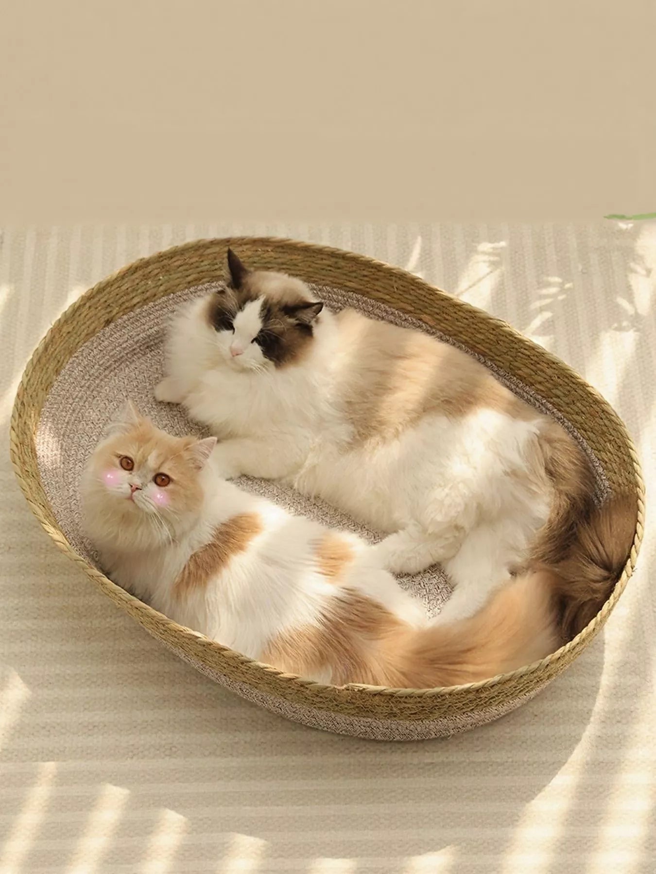 Woven Rattan Cat Nest Bed Scratch-Resistant Oval Pet Lounger