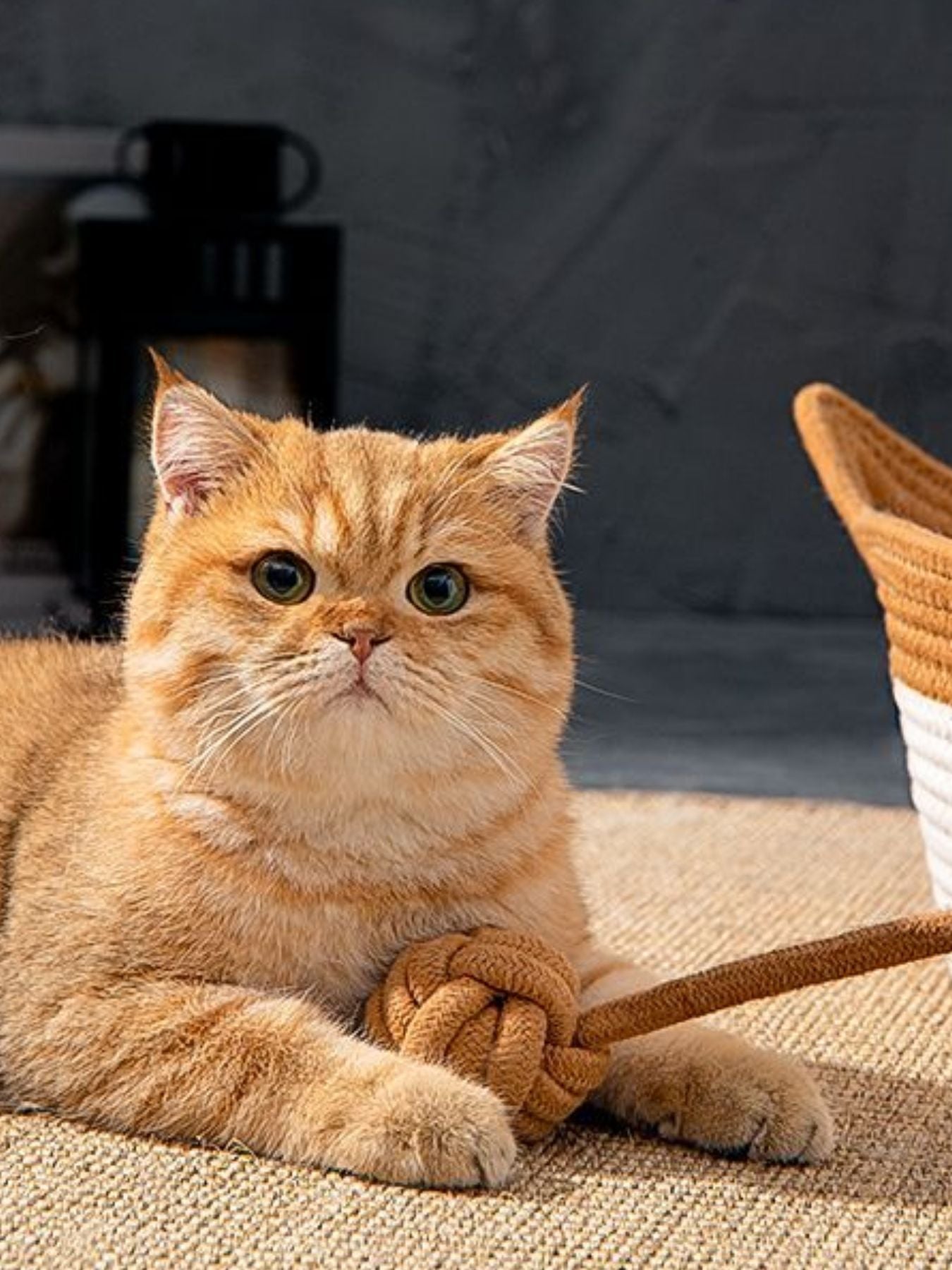 Woven Cotton Cord Cat Ear Pet Bed Cozy Semi-Enclosed Nest