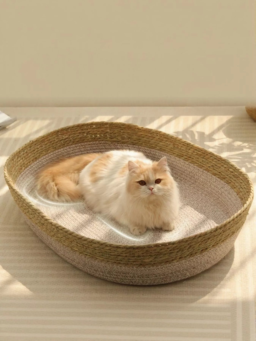 Woven Rattan Cat Nest Bed Scratch-Resistant Oval Pet Lounger