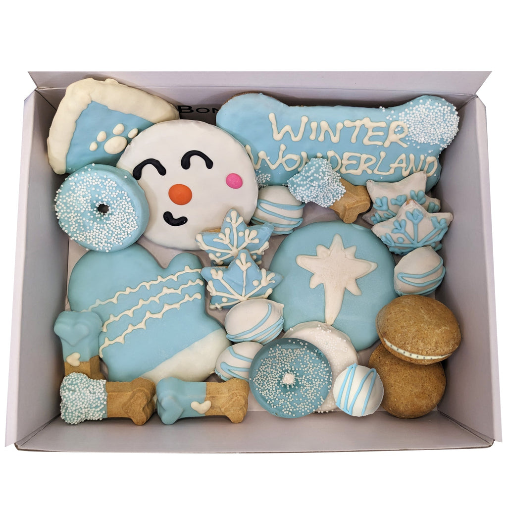 Winter Themed Dog Treats Gift Box Snowflake and Snowman Assortment
