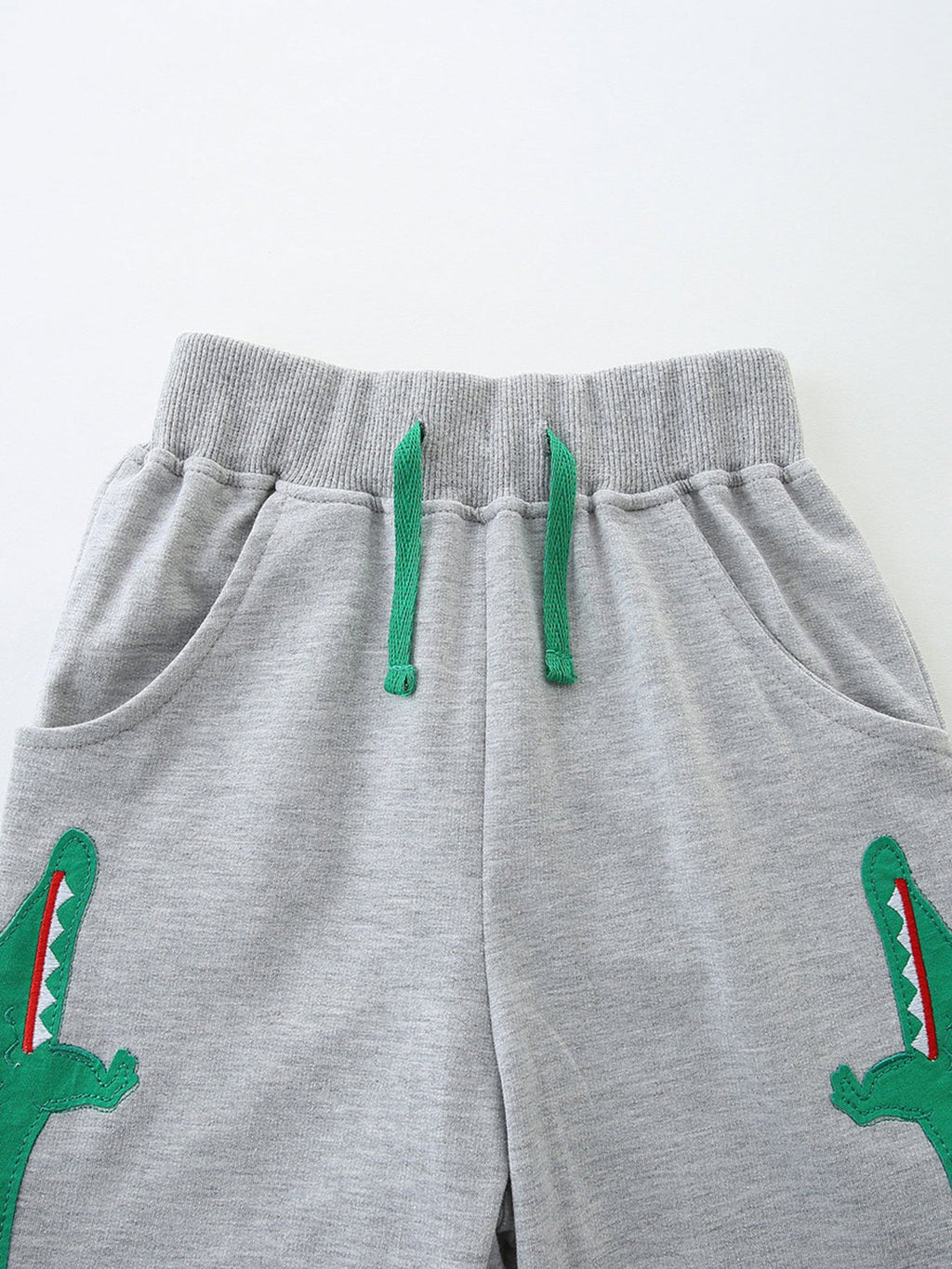 Boys Dinosaur Graphic T-Shirt and Drawstring Shorts Set