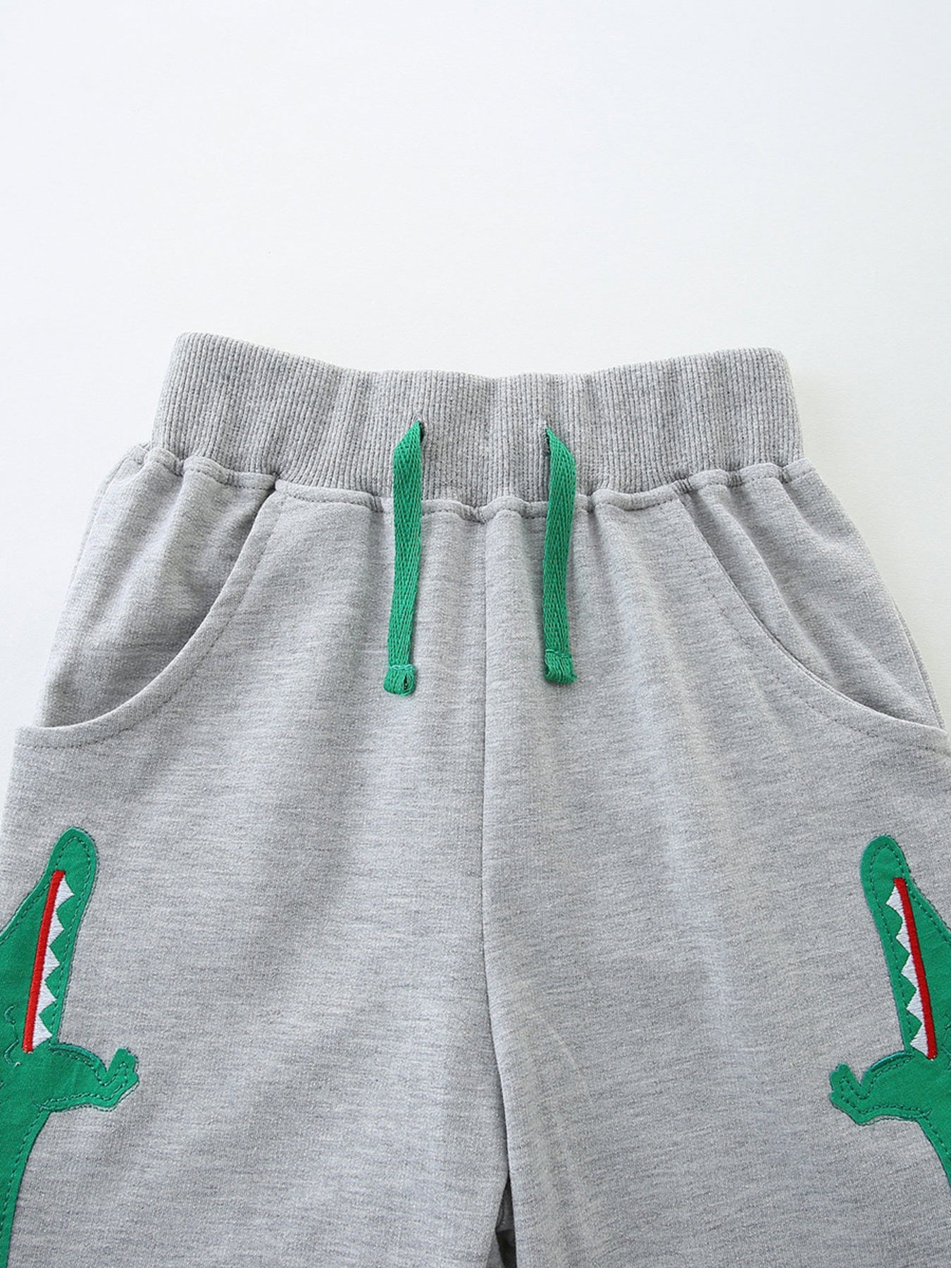 Boys Dinosaur Graphic T-Shirt and Drawstring Shorts Set
