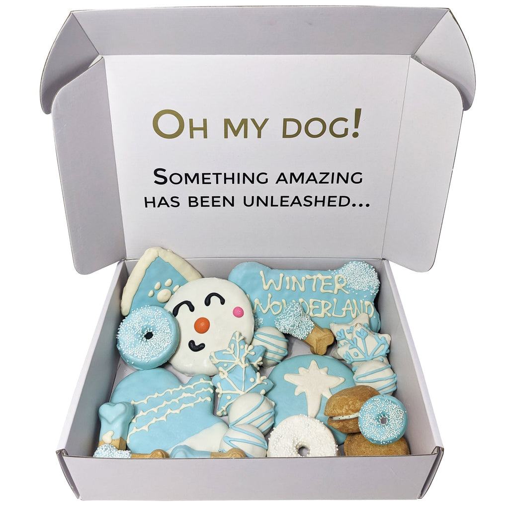 Winter Themed Dog Treats Gift Box Snowflake and Snowman Assortment