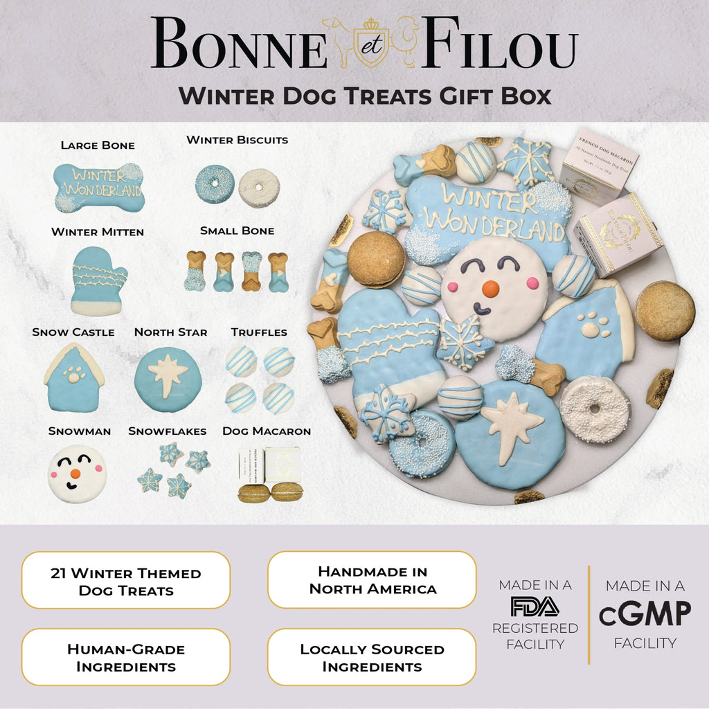 Winter Themed Dog Treats Gift Box Snowflake and Snowman Assortment