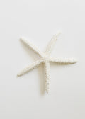 Starfish