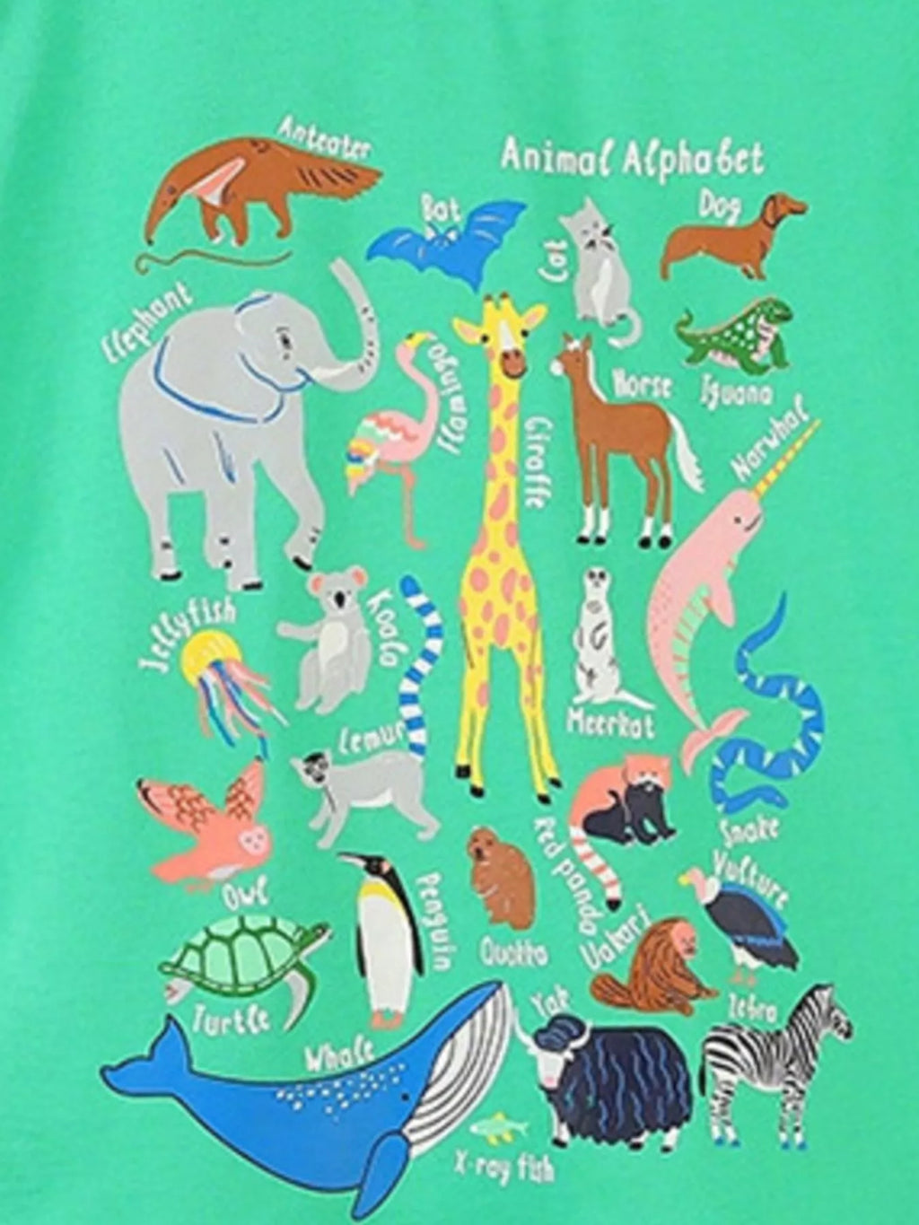 Children's Green Animal Alphabet Graphic Print Cotton T-Shirt