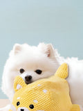 Yellow Textured Squeaky Plush Dog Toy for Engaging Playtime