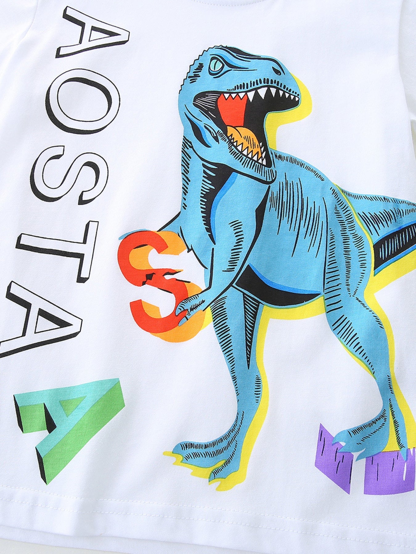 Boys Dinosaur Graphic T-Shirt and Drawstring Shorts Set