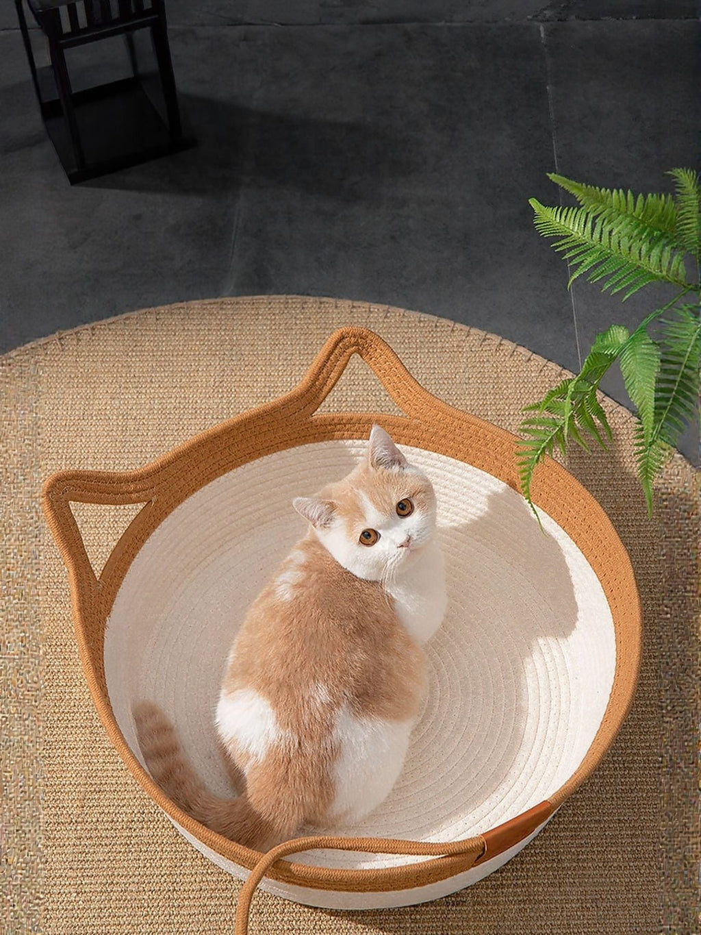 Woven Cotton Cord Cat Ear Pet Bed Cozy Semi-Enclosed Nest