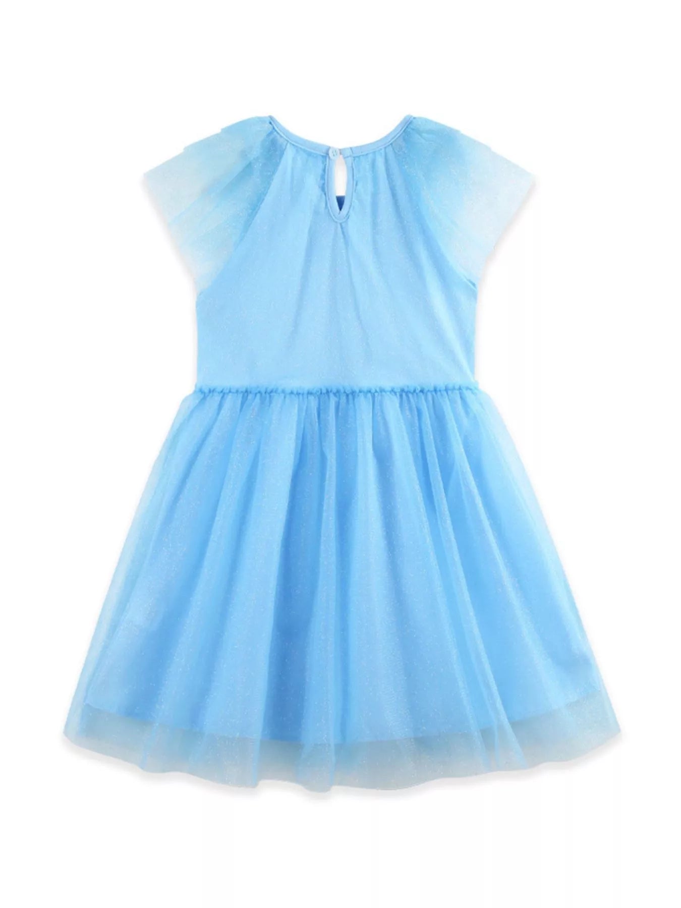 Girls Blue Swan Embroidered Tulle Party Dress