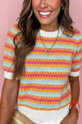 Abstract Striped Knit Short Sleeve Sweater in Multi-Color